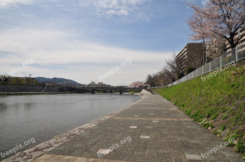 Kyoto Kamogawa River Free Photos