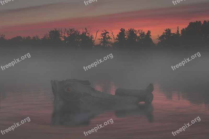 Photomontage Berlin Malchower Lake Sunrise Fish