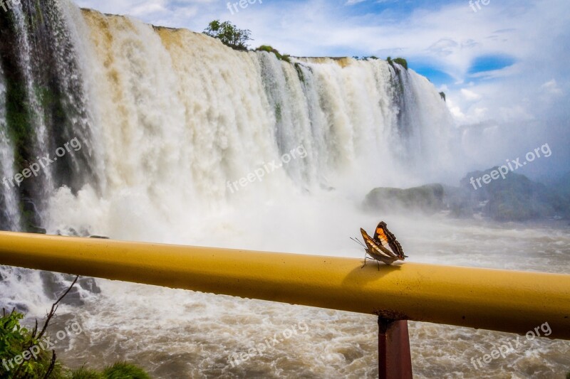 Iguazu Iguacu Falls Waterfall Butterfly