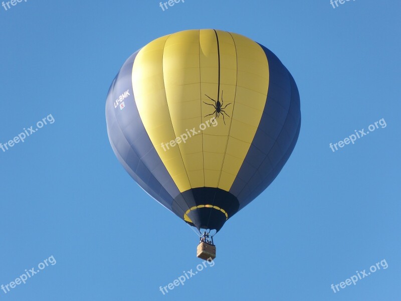 Hot Air Balloon Sky Flying Hot Air Balloon Ride Free Photos