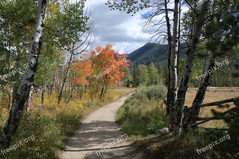 Hike Autumn Forest Hiking Adventure