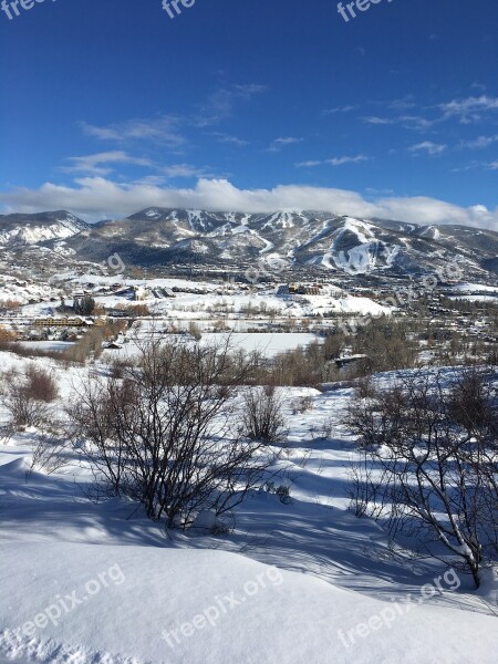 Sky Trees Colorado Sleeping Giant