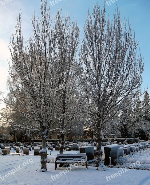 Cemetery Bench Tree Tombstone Snow