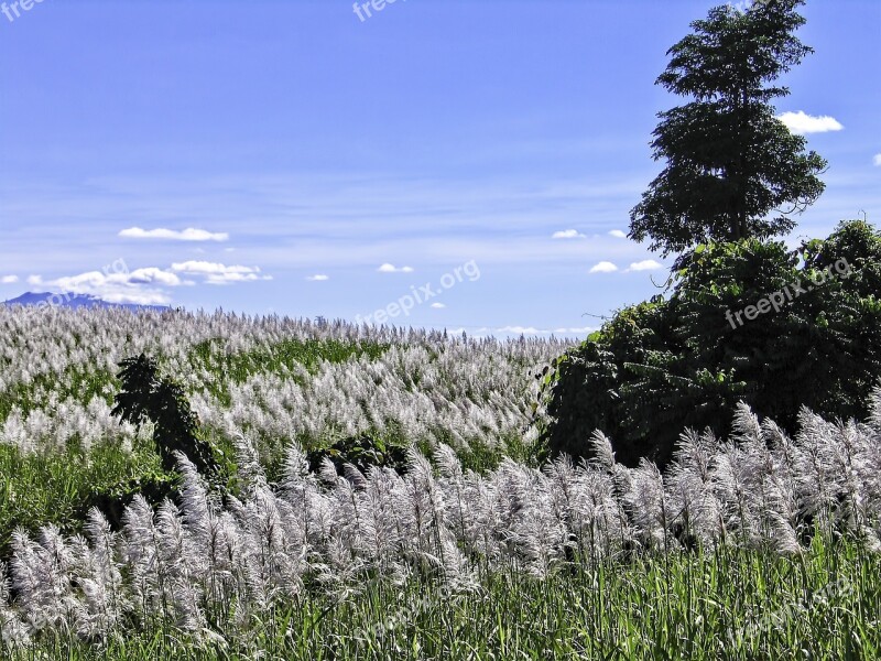 Tablelands Queensland Tropical Queensland Fields Tourist Area