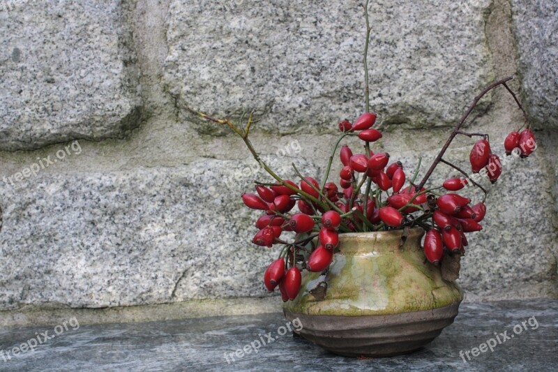 Rose Hip Vessel Stone Background Copy Space