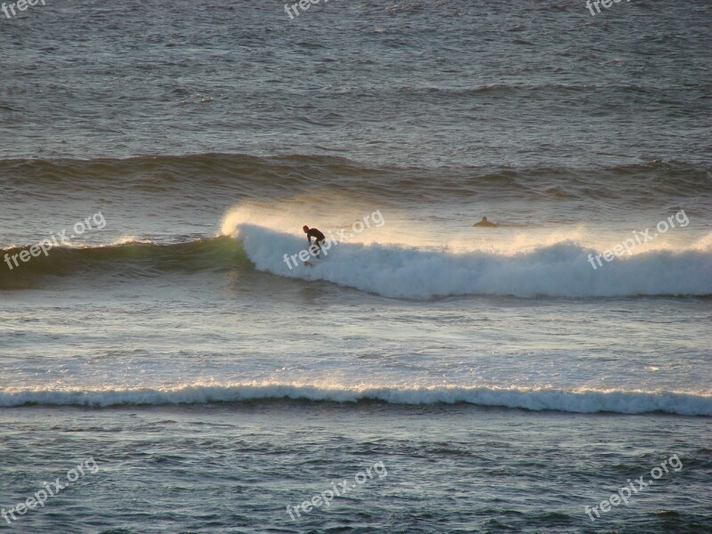 Surfer Wave Sea Water Ocean