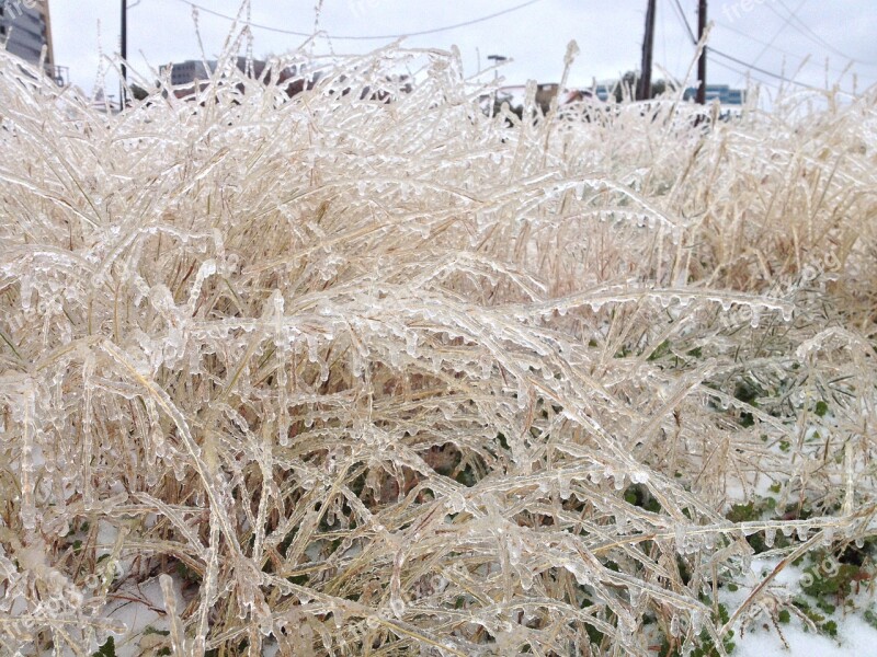 Winter Ice Storm Texas Free Photos