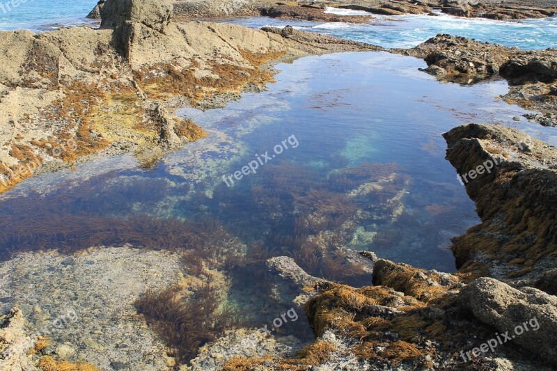 Tide Pool Ocean Water Pacific Coastal