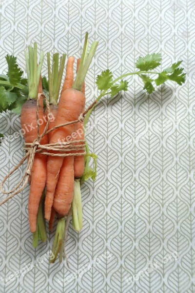 Carrot Organic Orange Gardening Ingredient