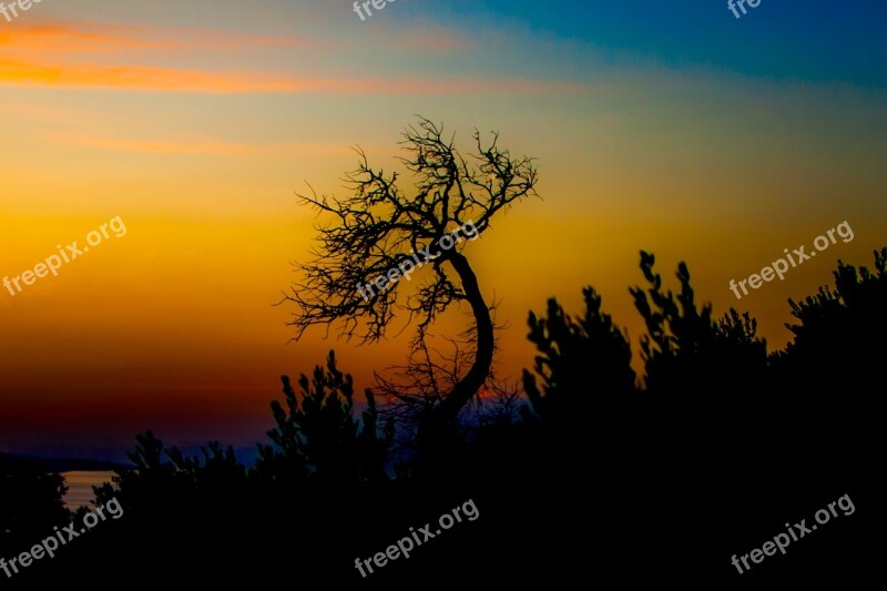 Tree West Sunset Landscape Clouds