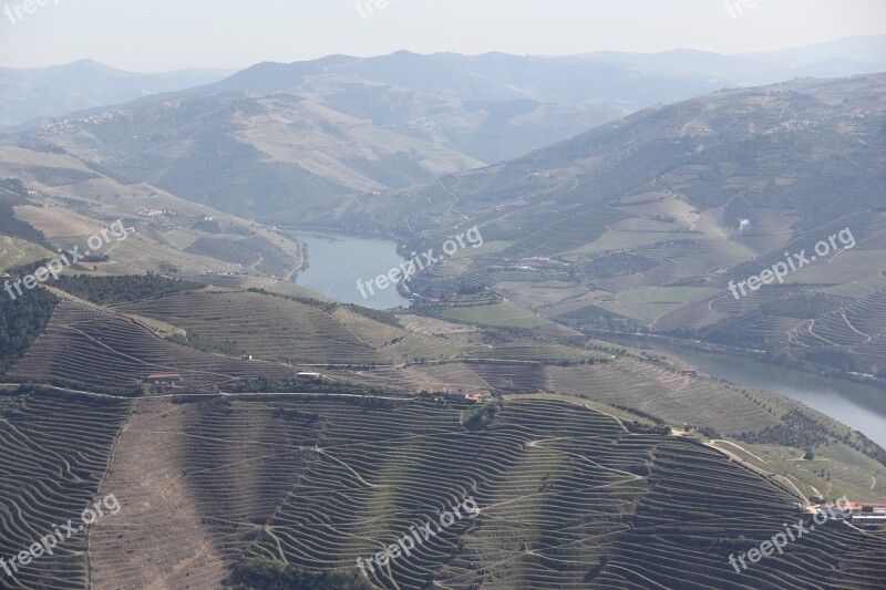 Douro Wine Portugal Valley Country