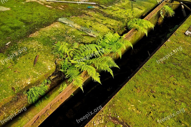 Lost Places Pforphoto Old Factory Abandoned Decay