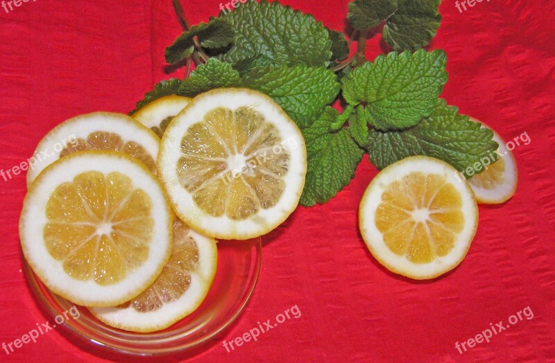 Lemon Slices Lemon Balm Free Photos