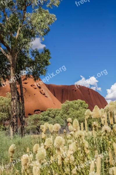 Ayers Rock Uluru Australia Nature Free Photos