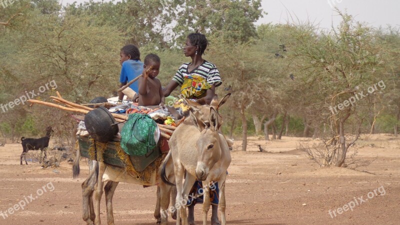 Transportation Exodus Family Baggage Overload