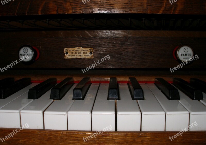 Keyboard Organ Harmonium Music Free Photos