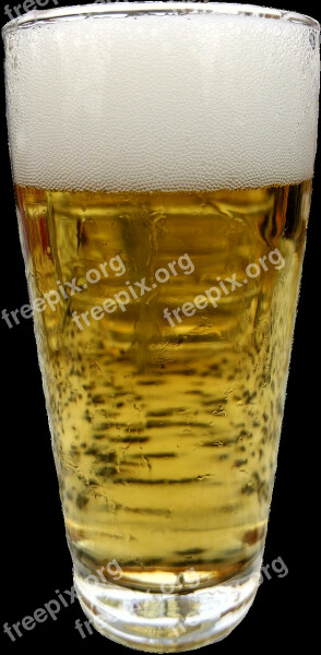 Beer Glass Isolated Beer Pils Food