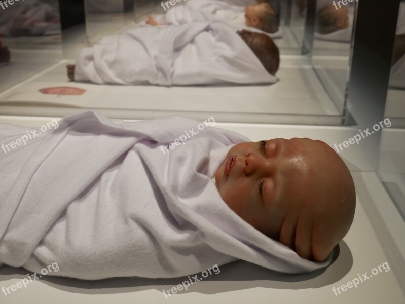 Baby Mutant Exhibition Art Sculpture