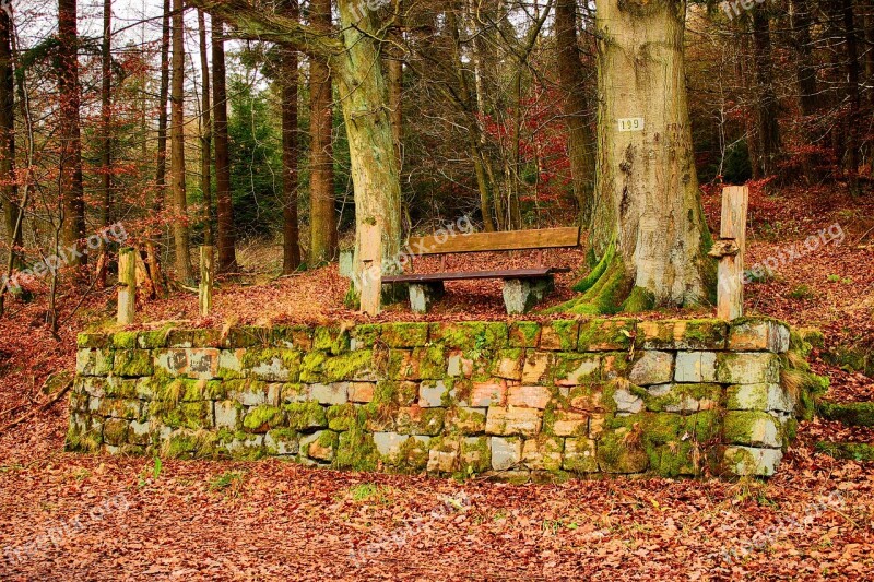 Bank Wooden Bench Sandstones Moss Roof