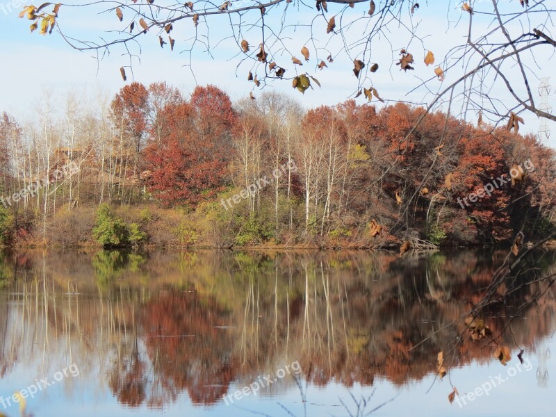 Autumn Landscape Lake Forest Reflections