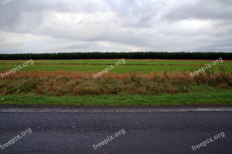 Way Meadow Forest Sky Layer