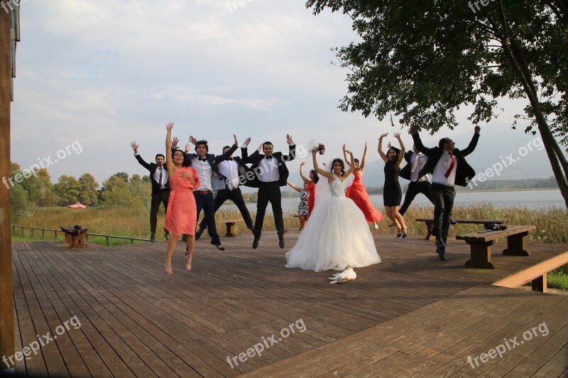 Guest Cat Wedding Ceremony Just Married Friends Free Photos