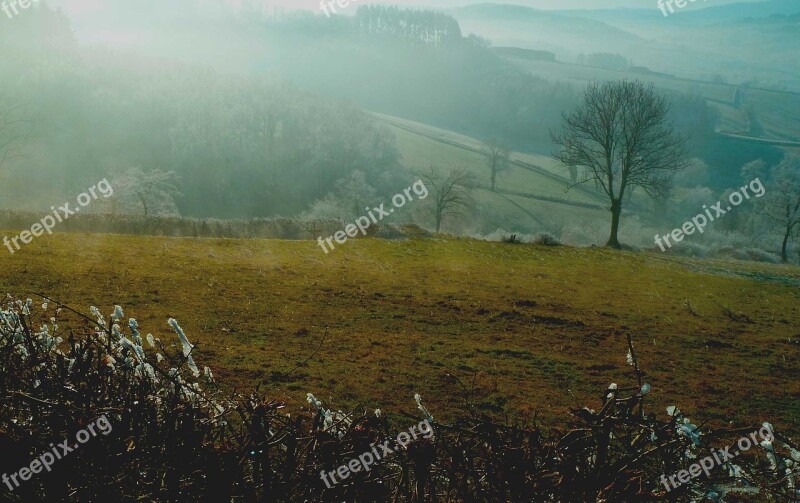 Green Cold Winters Field Landscape