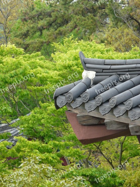 Traditional Roof Tile Landscape Construction Republic Of Korea