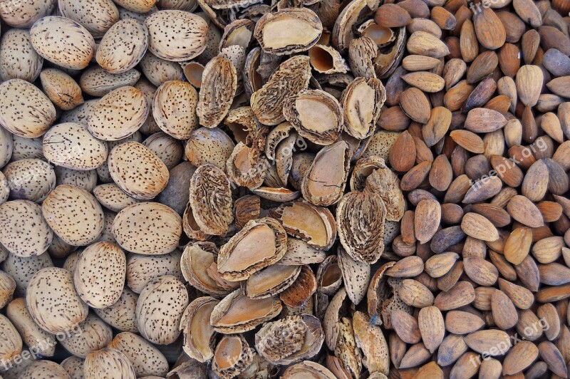 Almonds Dried Fruits Fruit Dry Dry Fruit