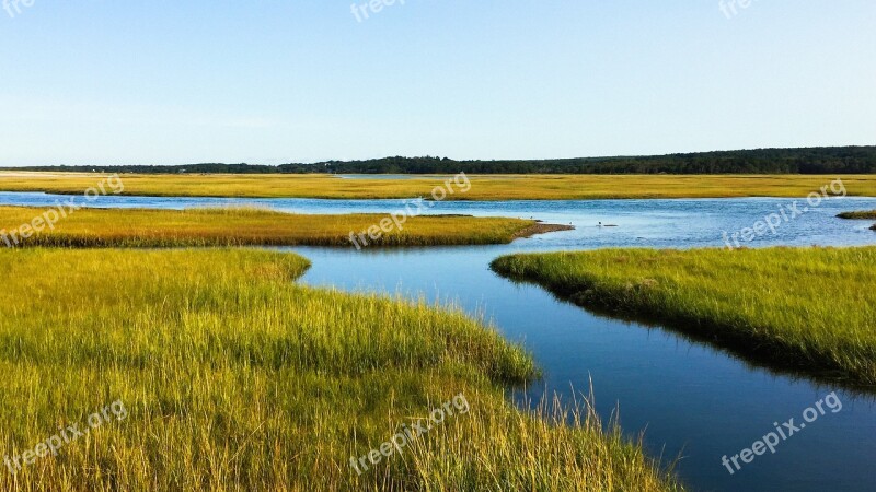 Salt Marsh Cape Cod Ocean Massachusetts Nature