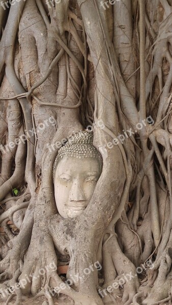 Thailand Old Capital City Ayutthaya Free Photos