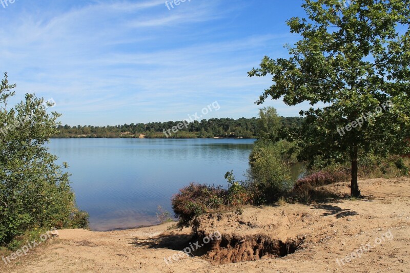 Reindersmeer Maasduinen Netherlands Nature Reserve Heathland