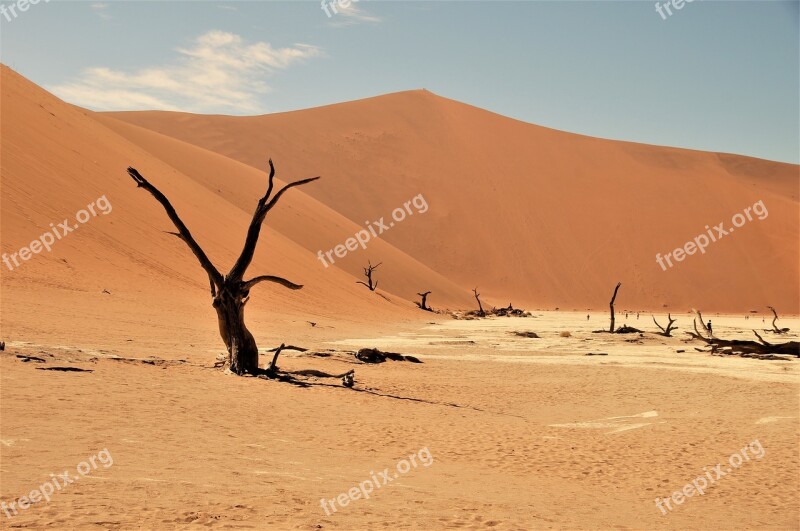 Namib Desert Namibia Desert Dead Vlei Africa