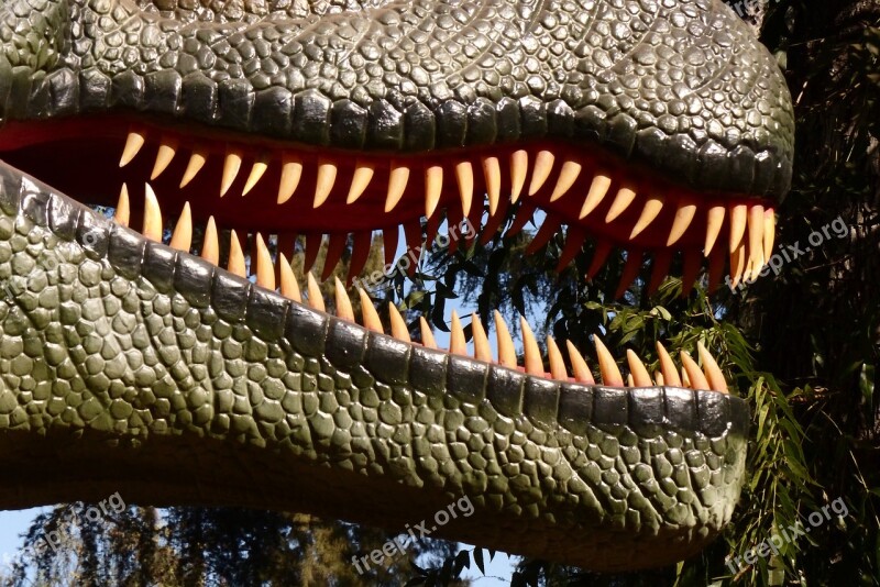 Dinosaur Teeth Teeth Reptile Closeup Free Photos