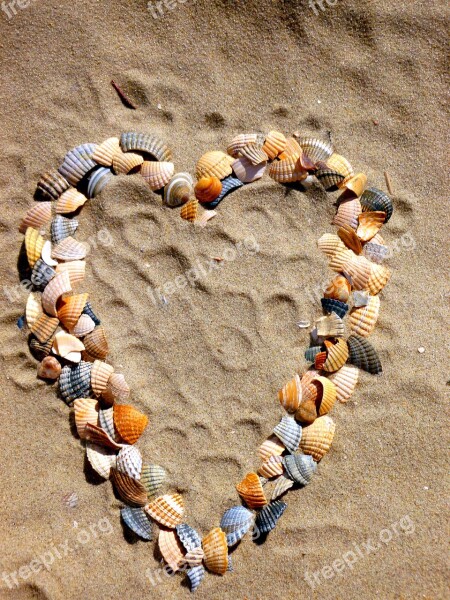 Heart Love Mussels Sand Heart Shaped