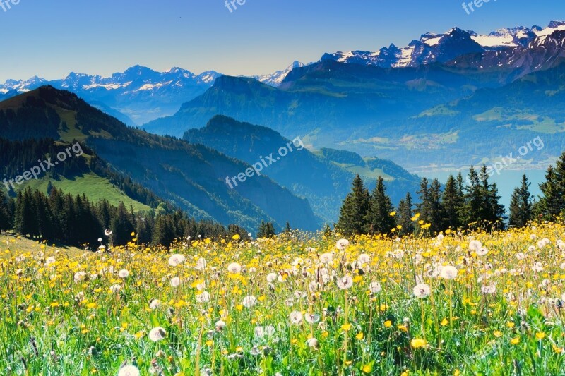 Switzerland Alpine Swiss Alps Wanderer Summer