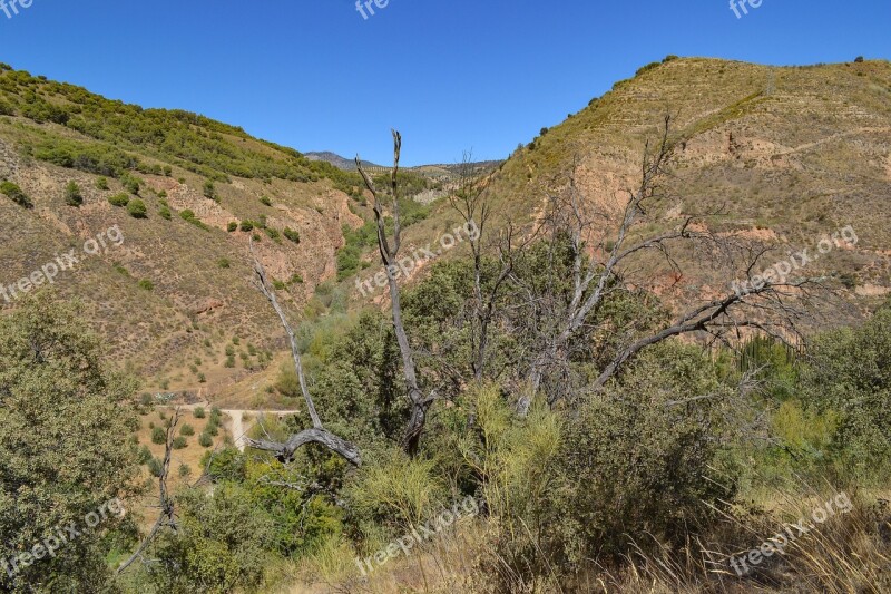 Sierra Nevada Mountains Landscape Spain Dry Tree