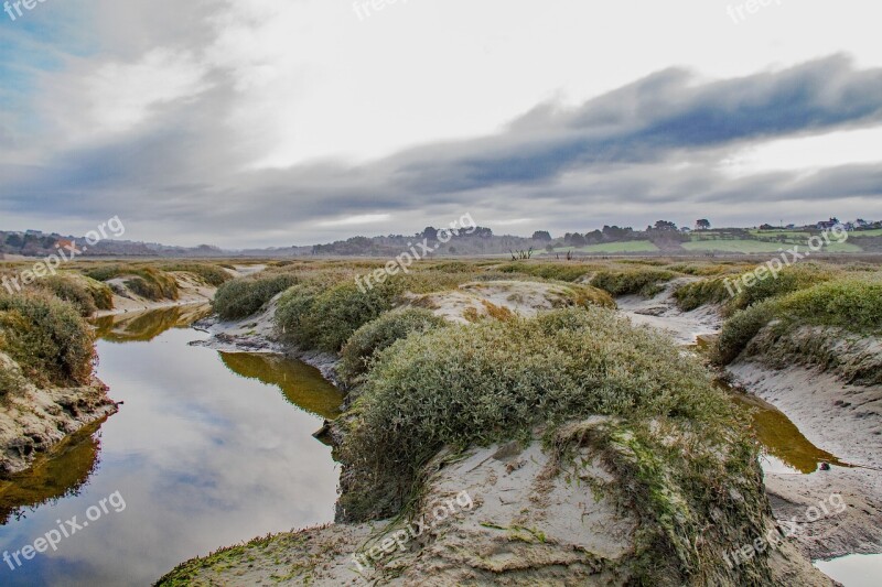 Saltmarsh Estuary Coastal Mud Water