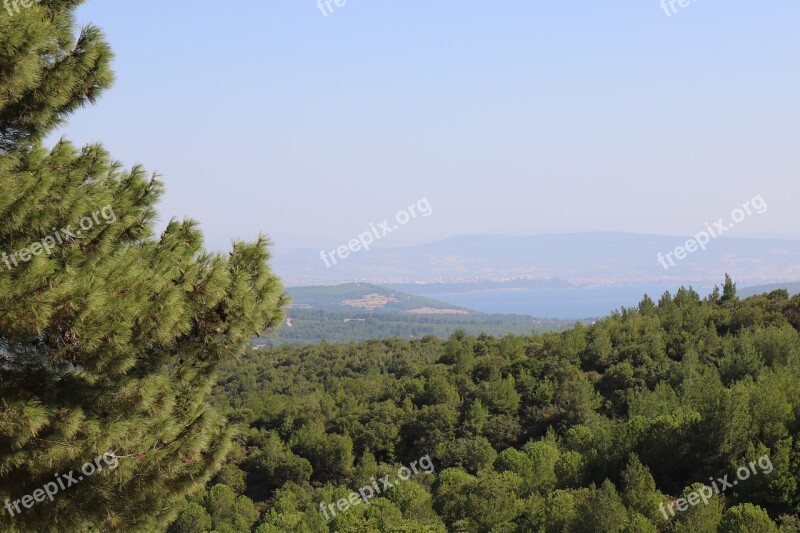 Landscape Tree Nature Mountain Lake