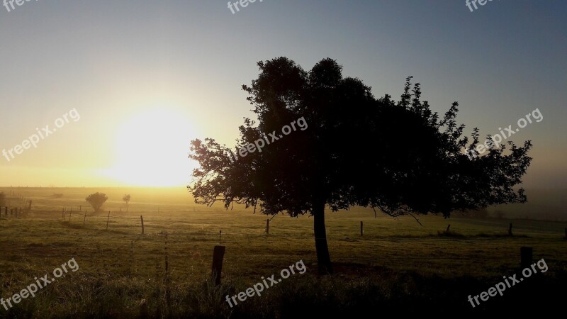 Autumn Sunrise Land Tree Sun