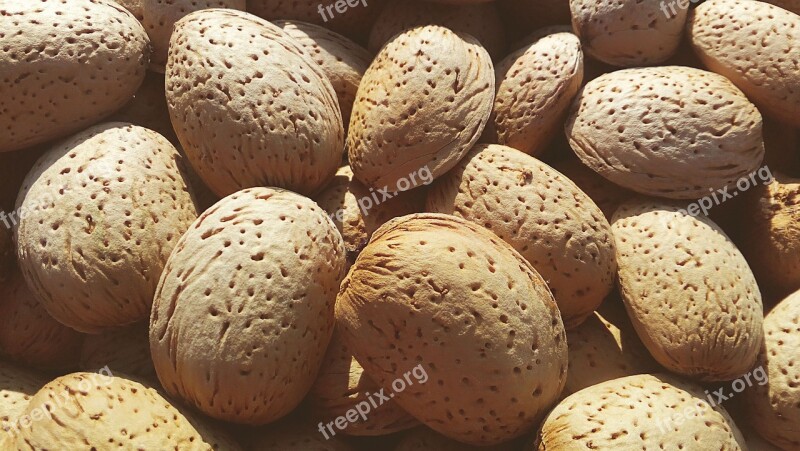 Almonds Dried Fruits Shell Dry Dry Fruit