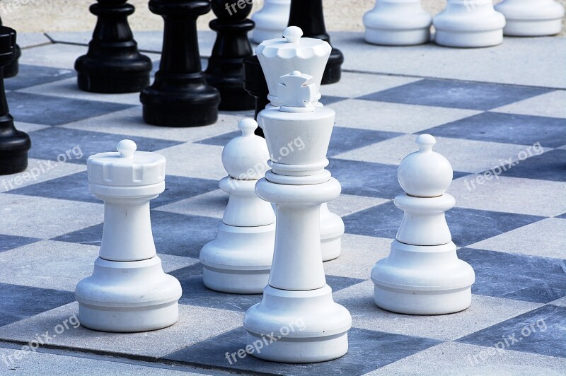 King White Chess Board Game