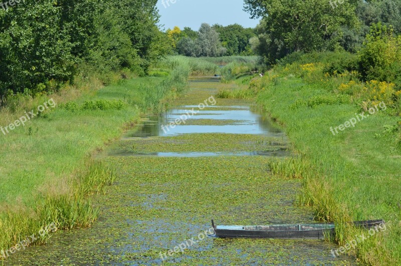 Nature See Natural Water Summer