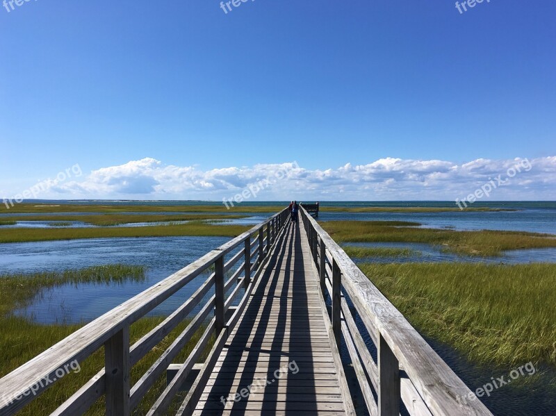 Boardwalk Long Pier Walking Pier Over Marsh Free Photos