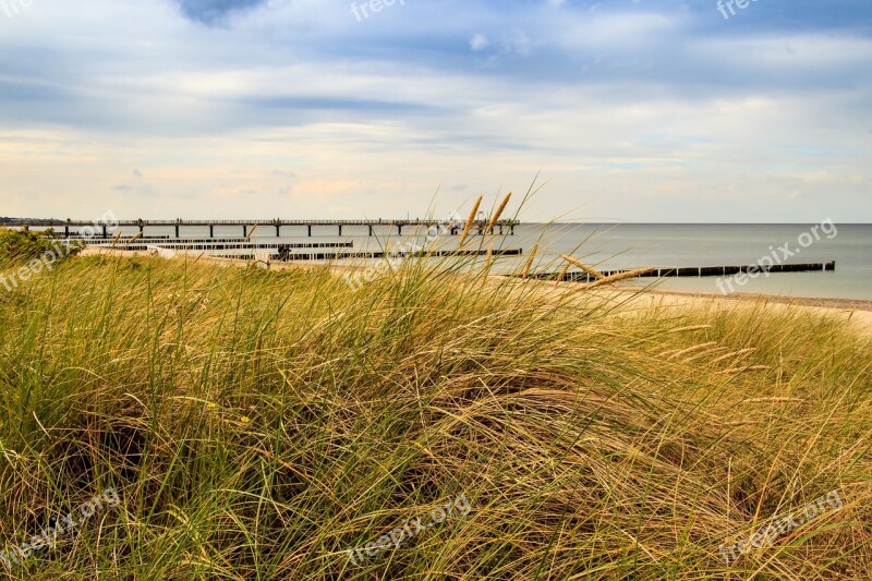 Baltic Sea Beach Sea Nature Dunes