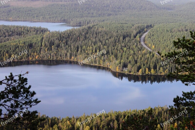 Forest Lake Nature Landscape Autumn