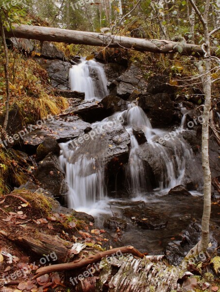 Nature Autumn Autumn Nature Forest Living Nature