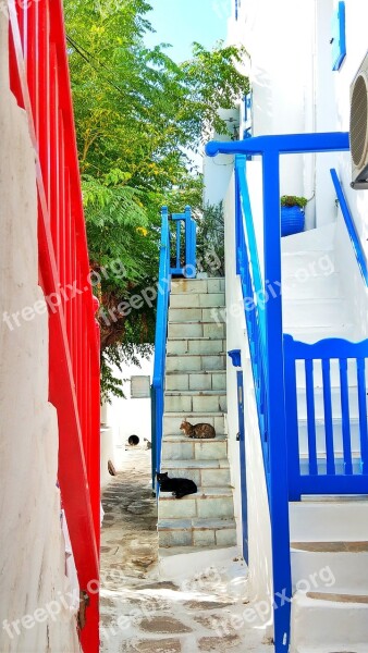 Mykonos Greece Alley Cats Stairs