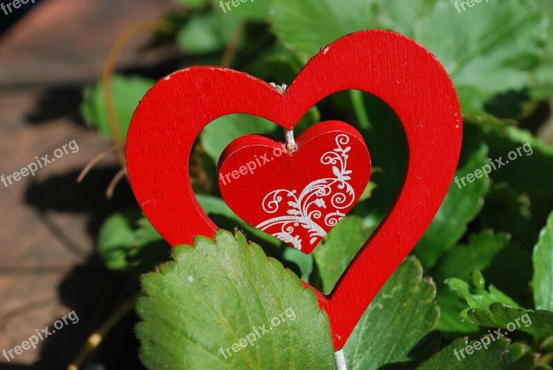 Heart Strawberries Plant Composition Handicraft