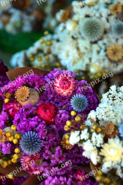 Dried Flower Color Wreath Decoration Mood